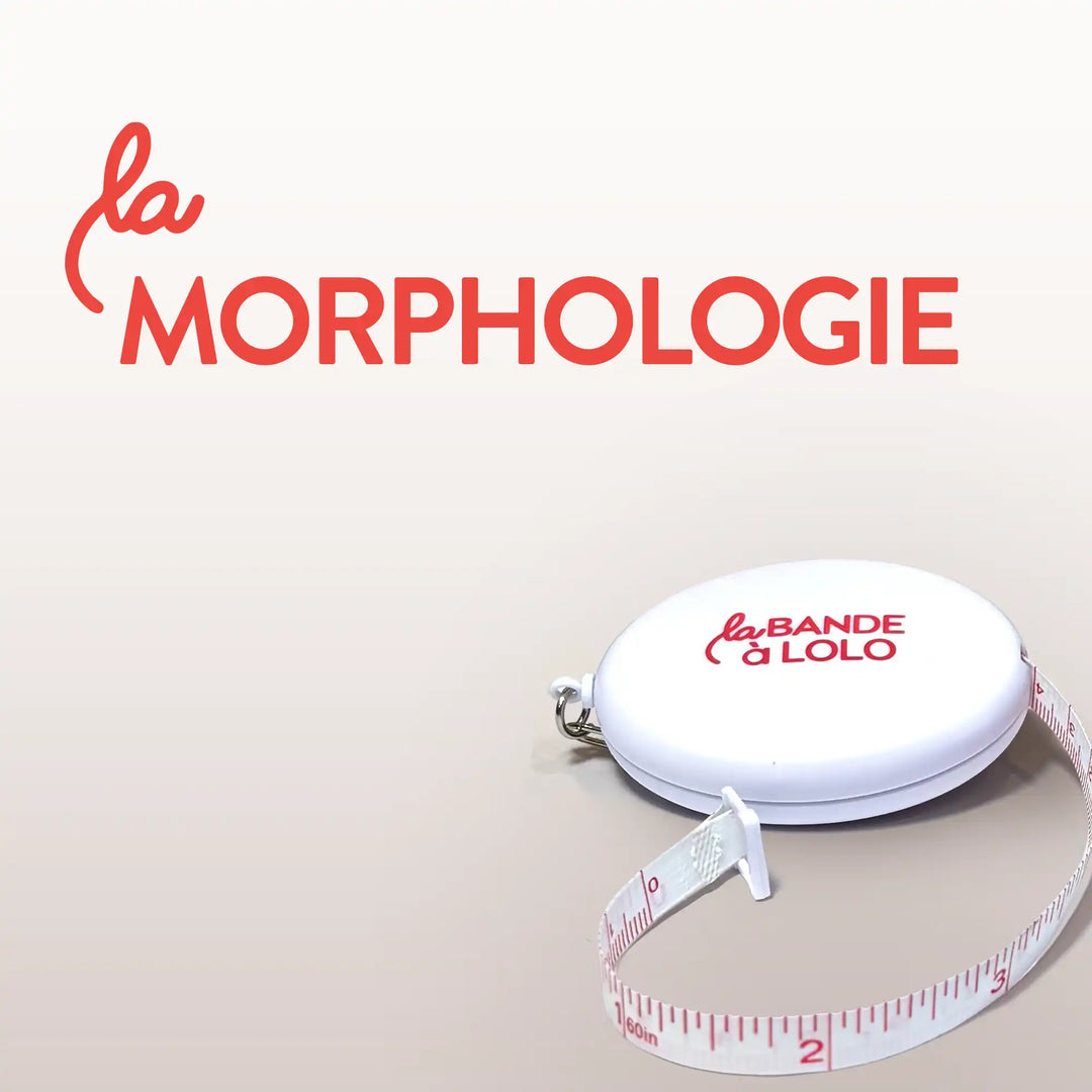Morphologie
